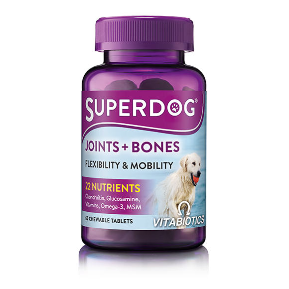 Pet vitamins top for dogs