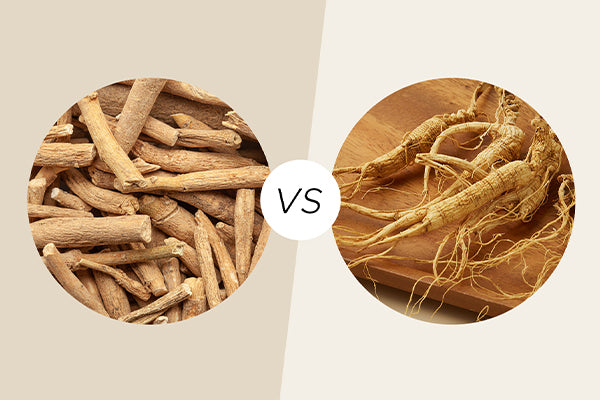 Ashwagandha vs Ginseng: Benefits, Differences & Which Might Be Right for You