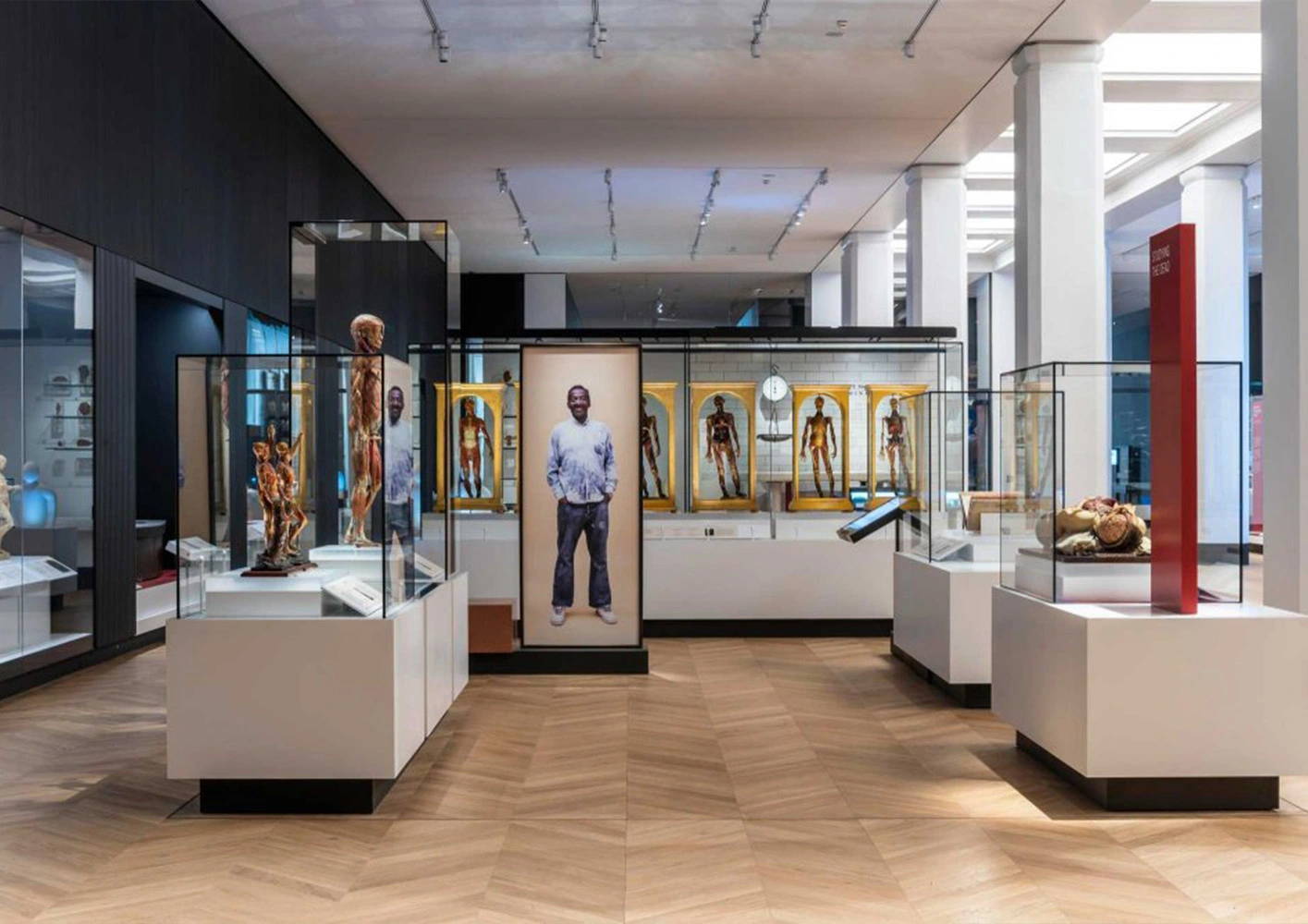 WORLD’S LARGEST MEDICINE GALLERIES OPEN AT THE SCIENCE MUSEUM