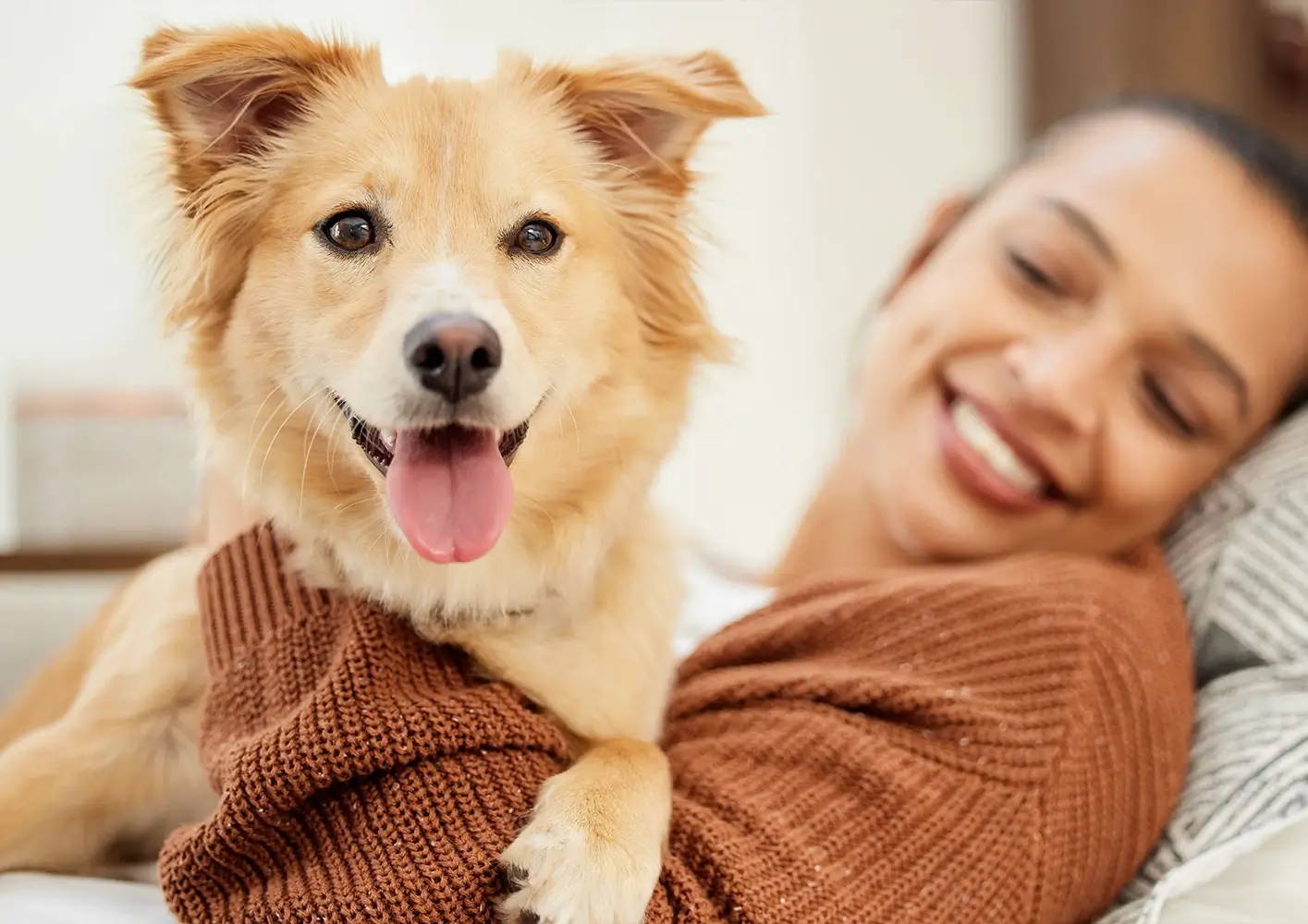 Dog Owner’s Fact File - Essential Vitamins and Minerals for your Dog