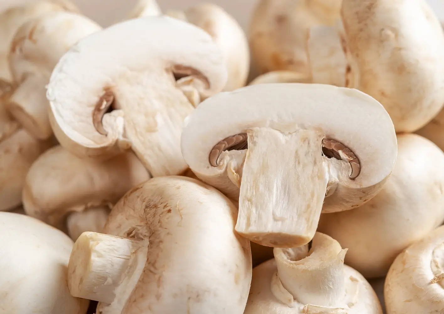 A guide to making the most of mushrooms when you’re lacking vitamin D
