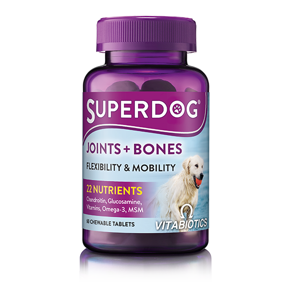 SuperDog Joints & Bones